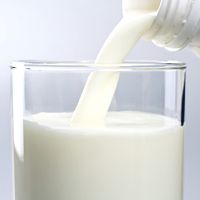 Молочные продукты как средство вывода никотина